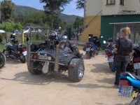 /album/fotogaleria-inicio/iguanasgaliza-032-640x480-jpg1/